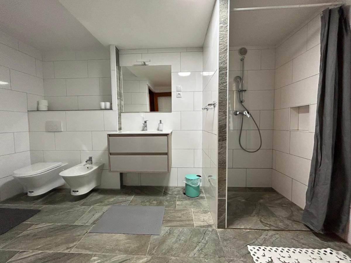 Peaceful Apartment With Patio Ровин Екстериор снимка